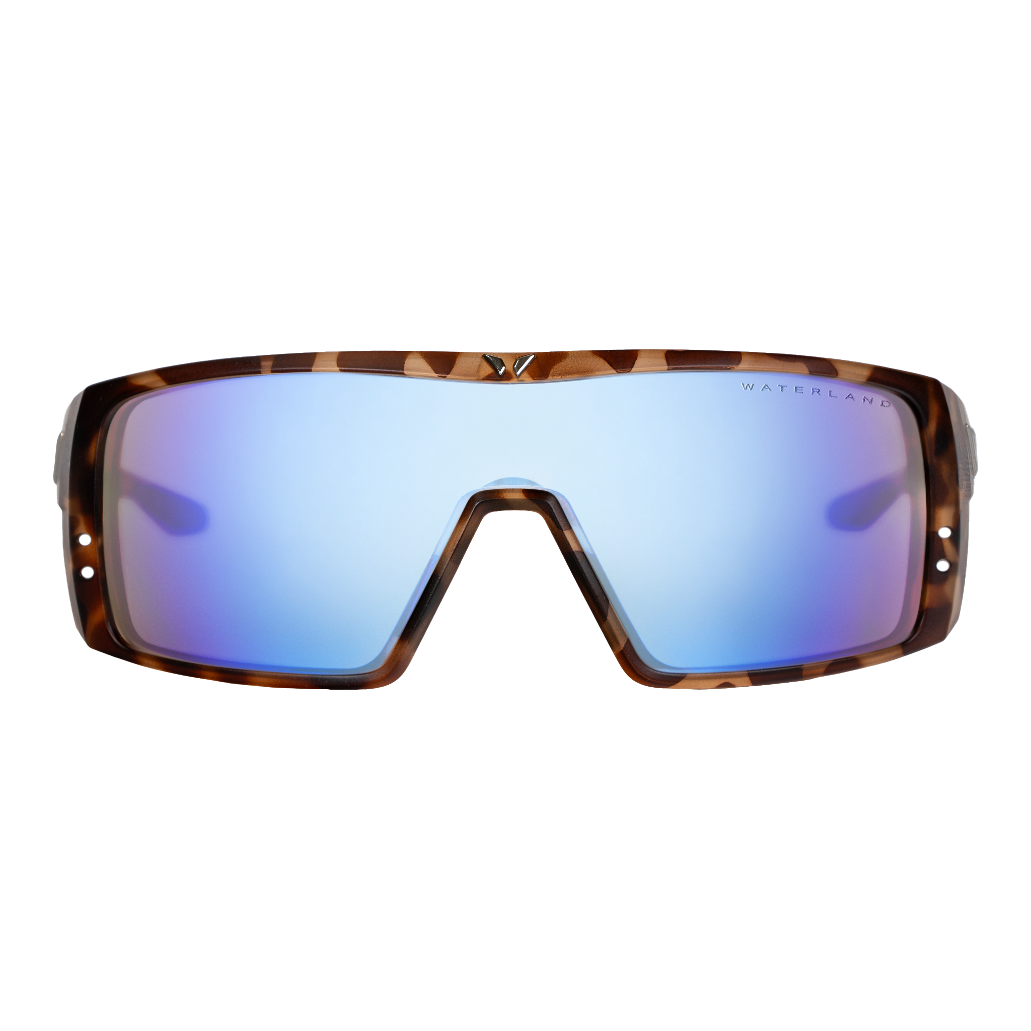 BedFishers - Brown Tortoise