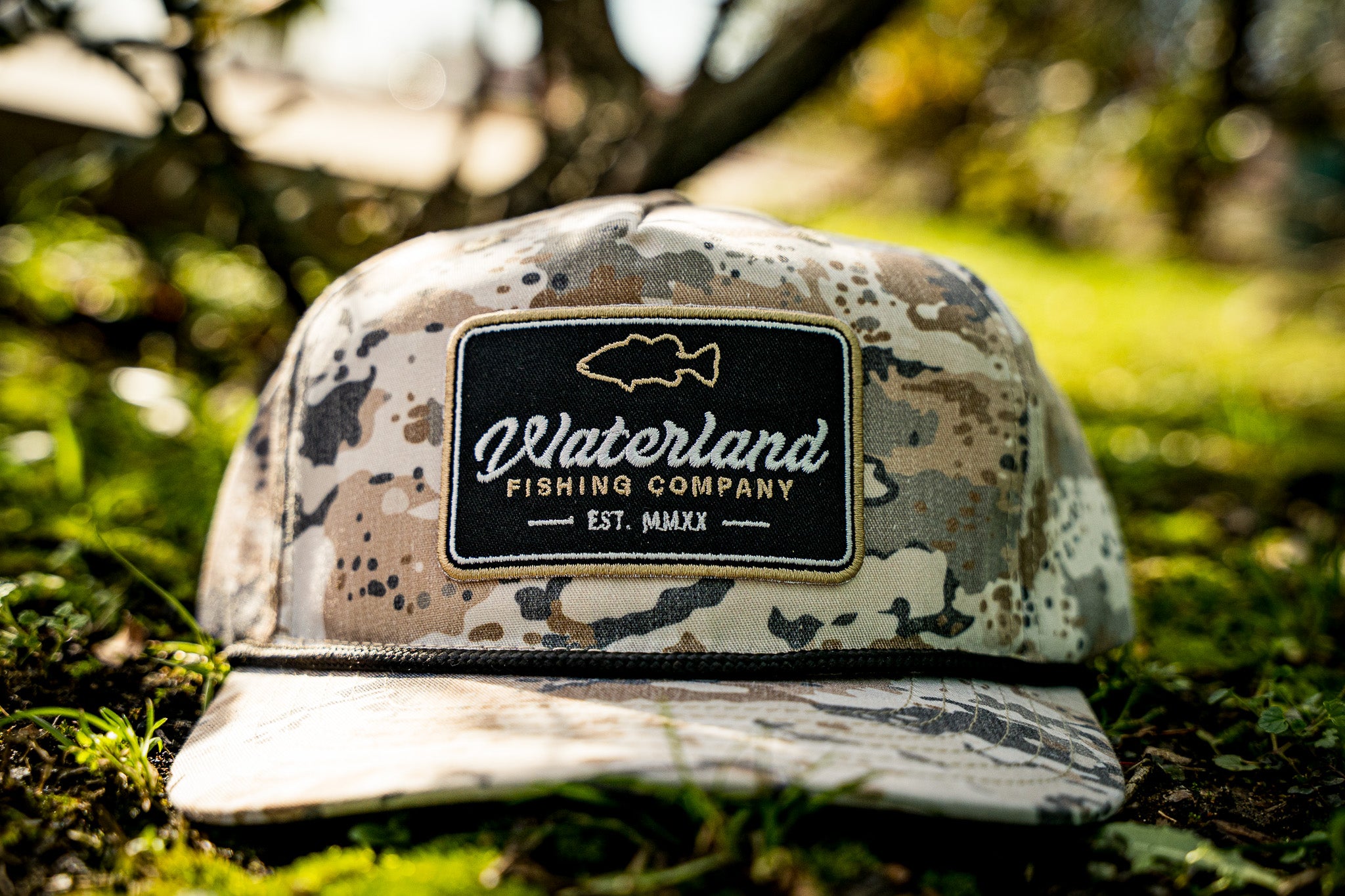 The Marina Semi-Curve - Outline