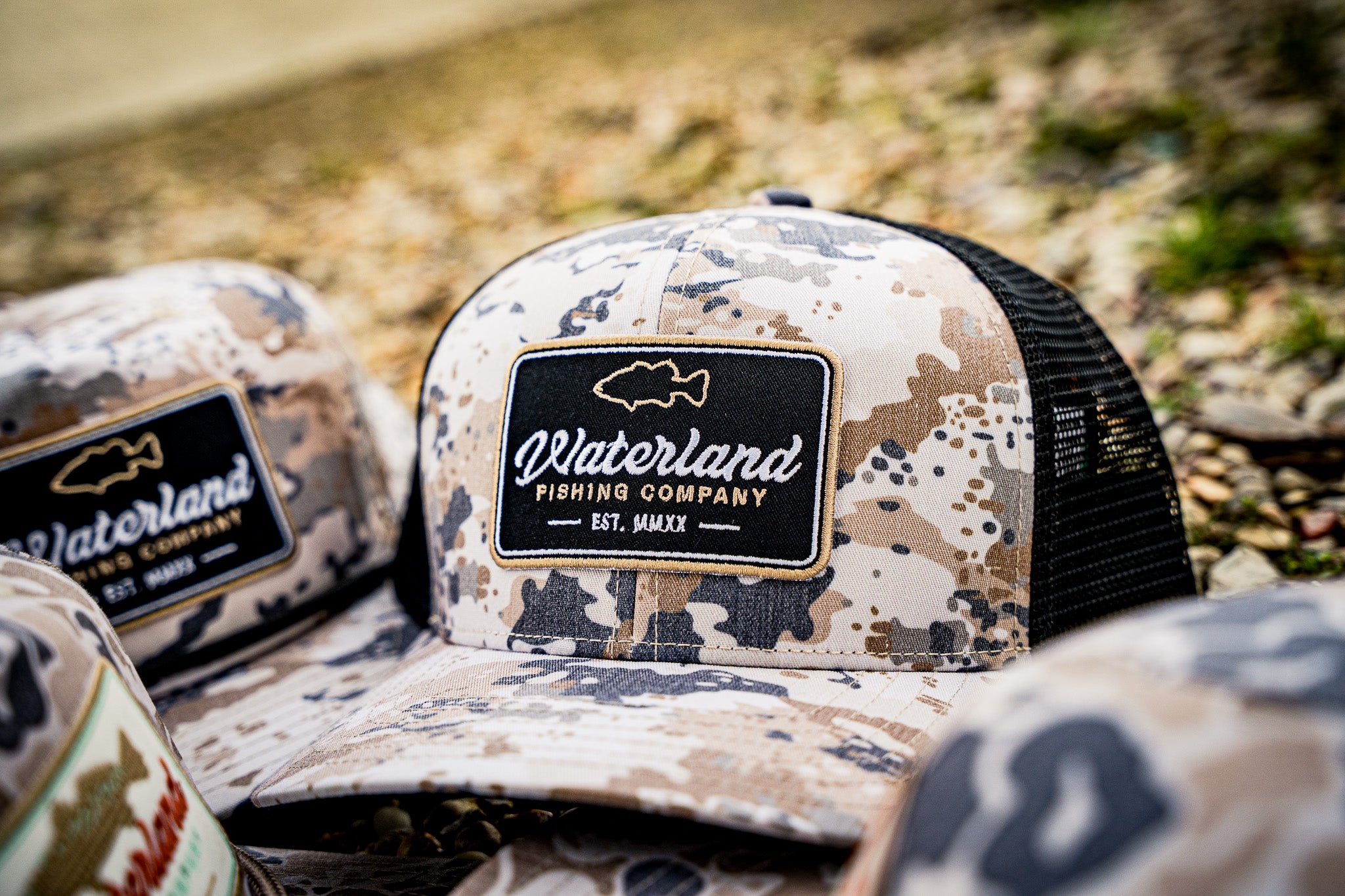 The WaterWood - Outline