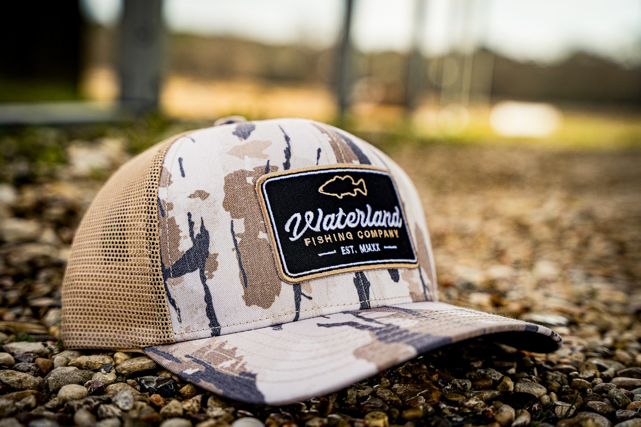 The WaterWood - Outline