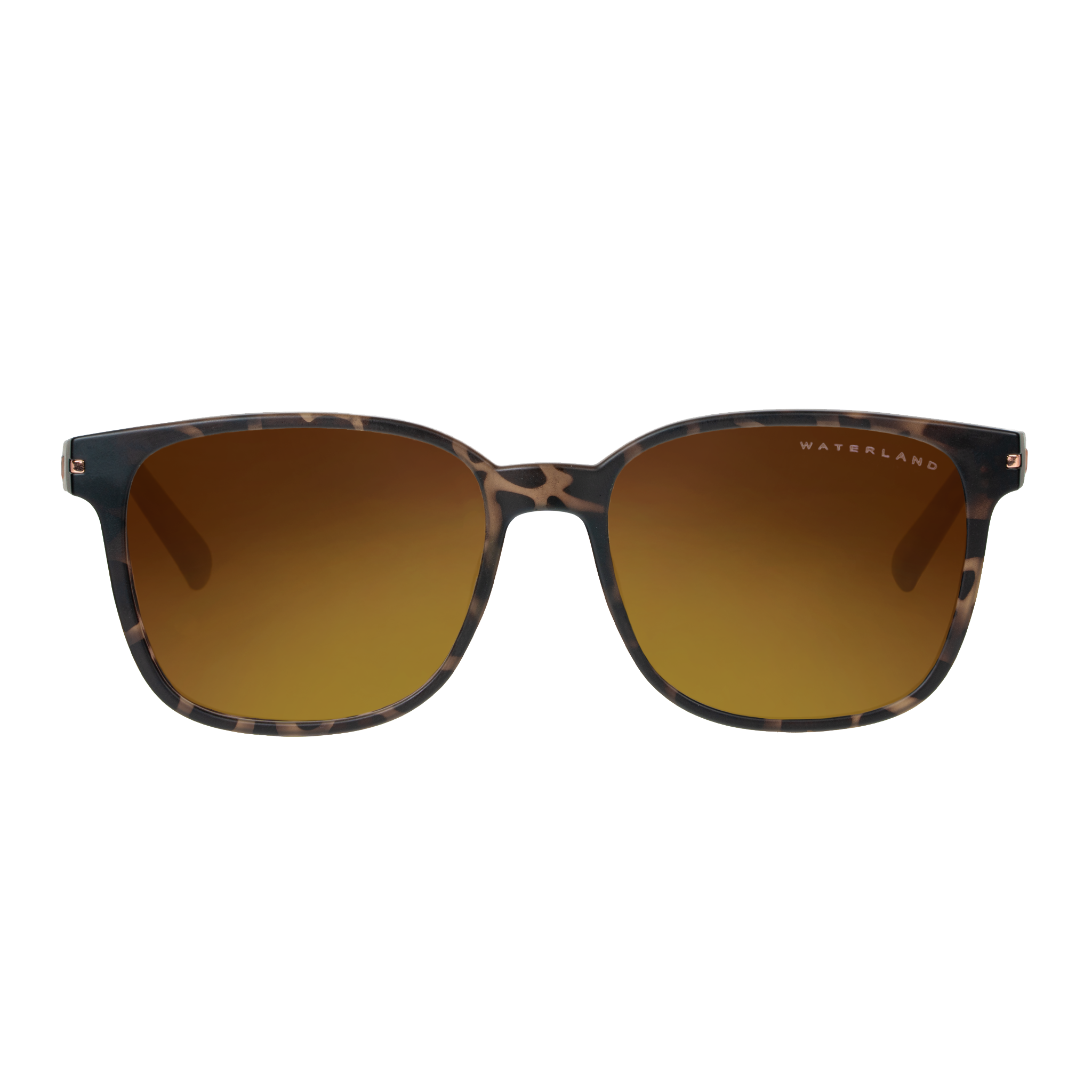 Shion - Brown Tortoise