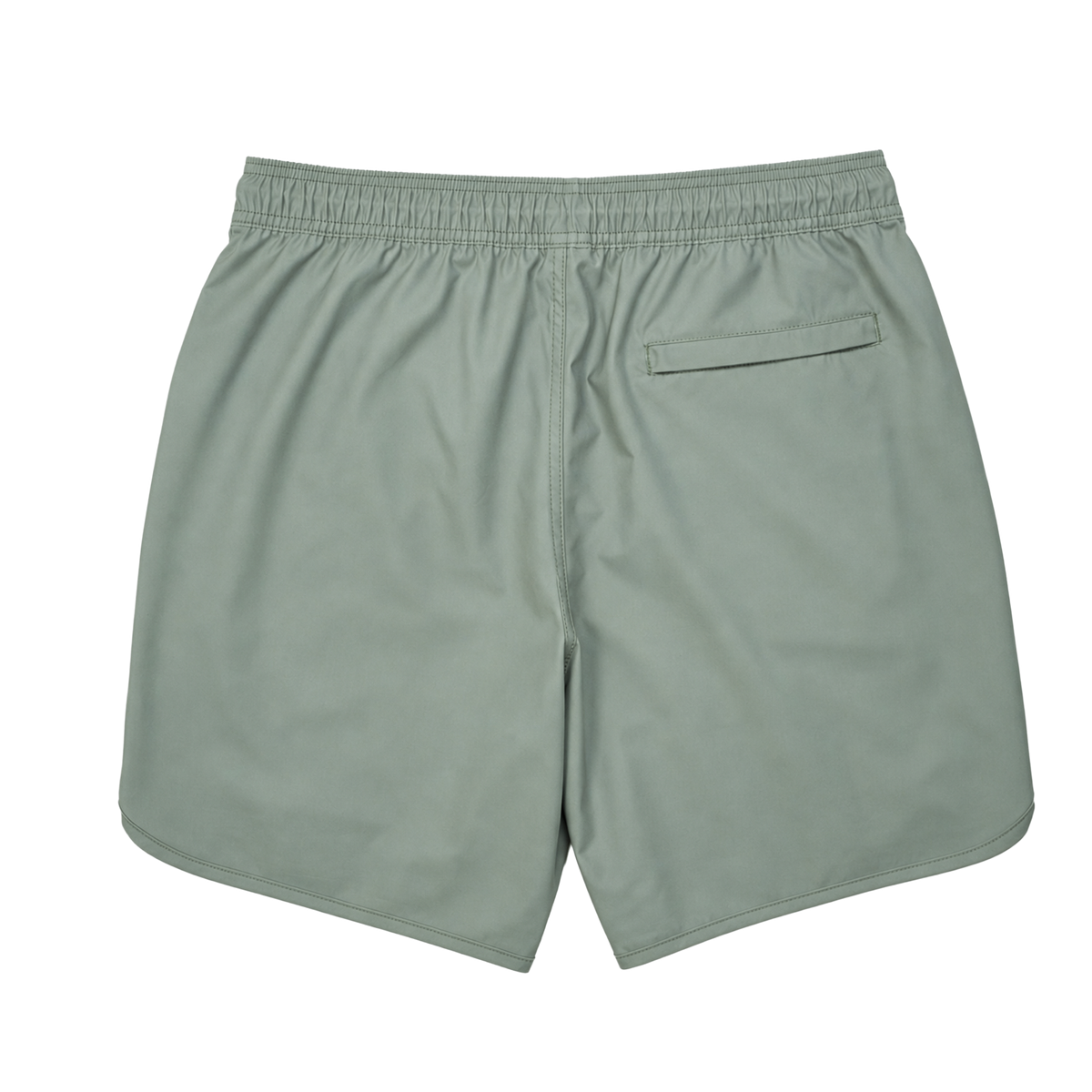 WaterLand Hybrid Shorts
