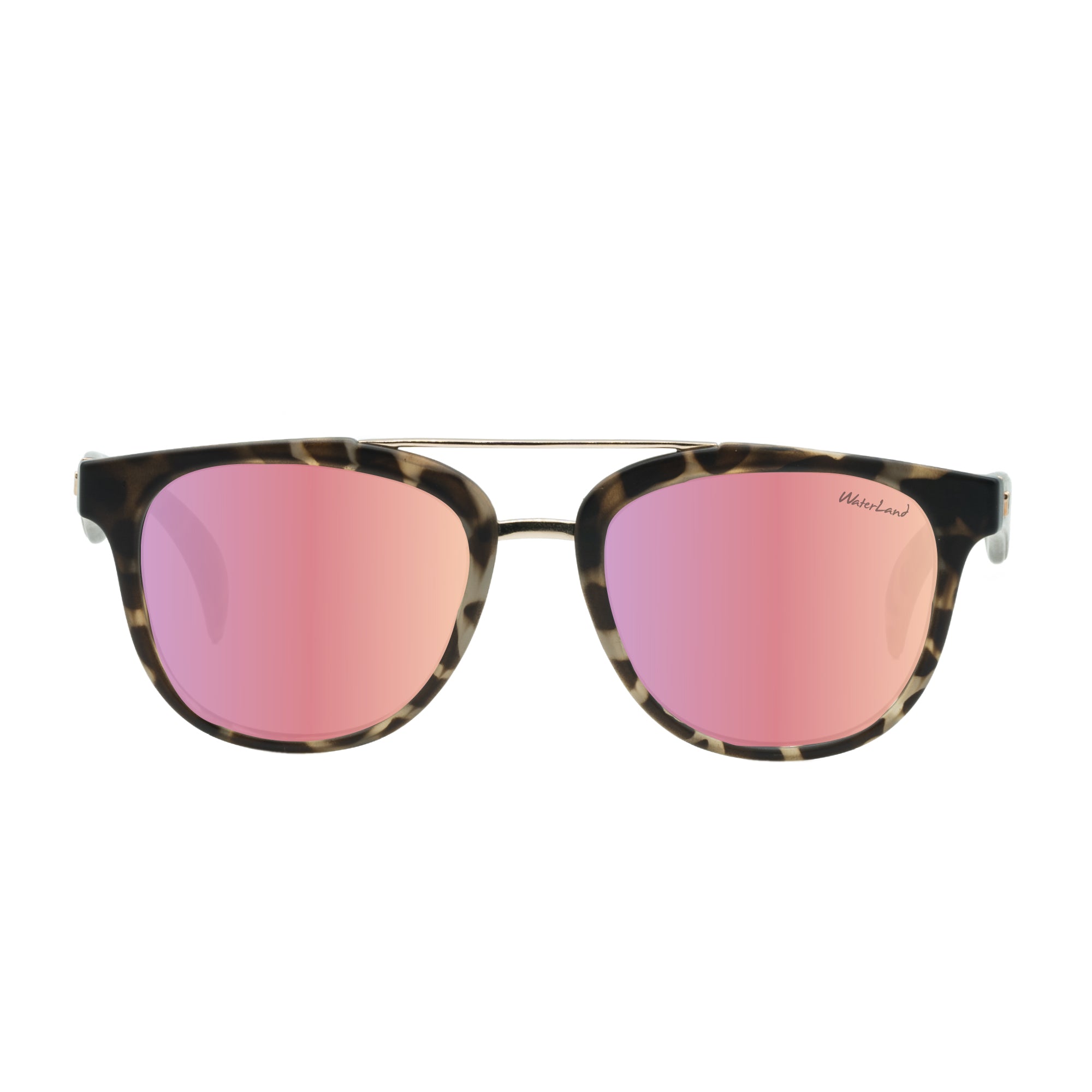 Jeune - Fawn Tortoise