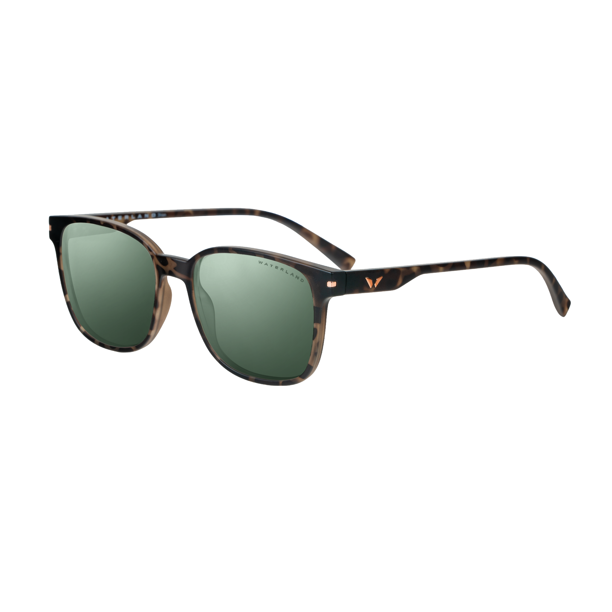 Shion - Brown Tortoise