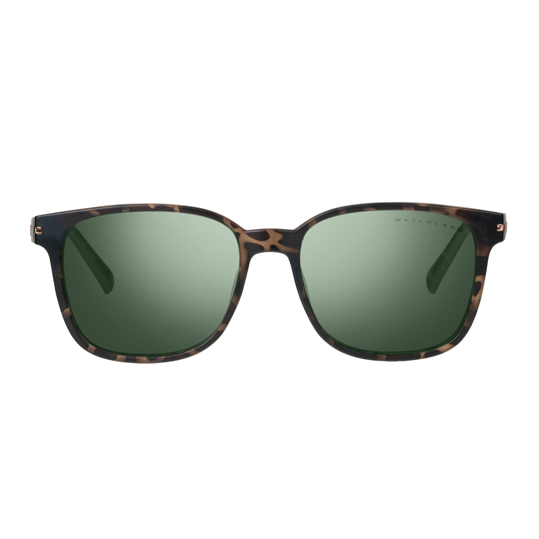 Shion - Brown Tortoise