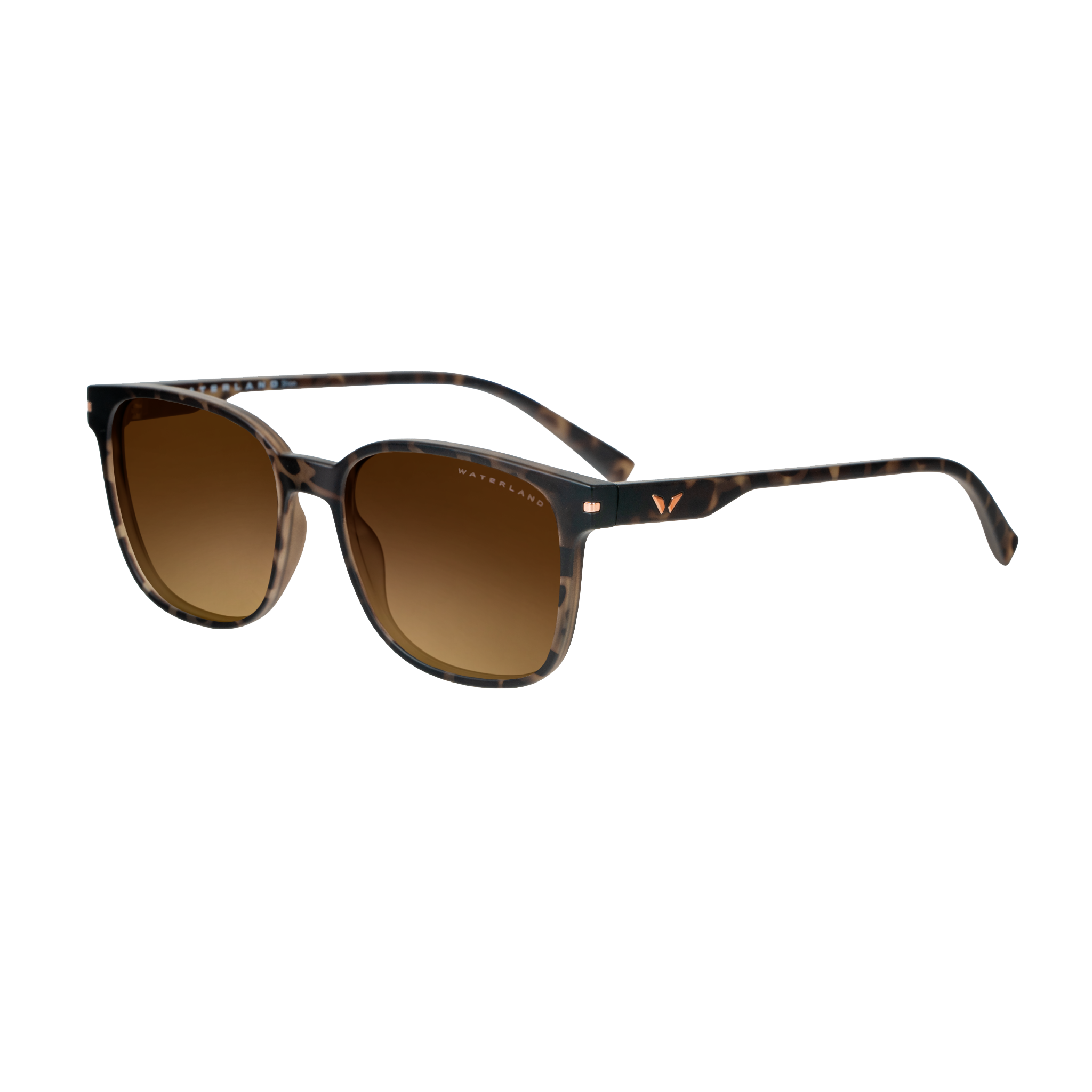 Shion - Brown Tortoise