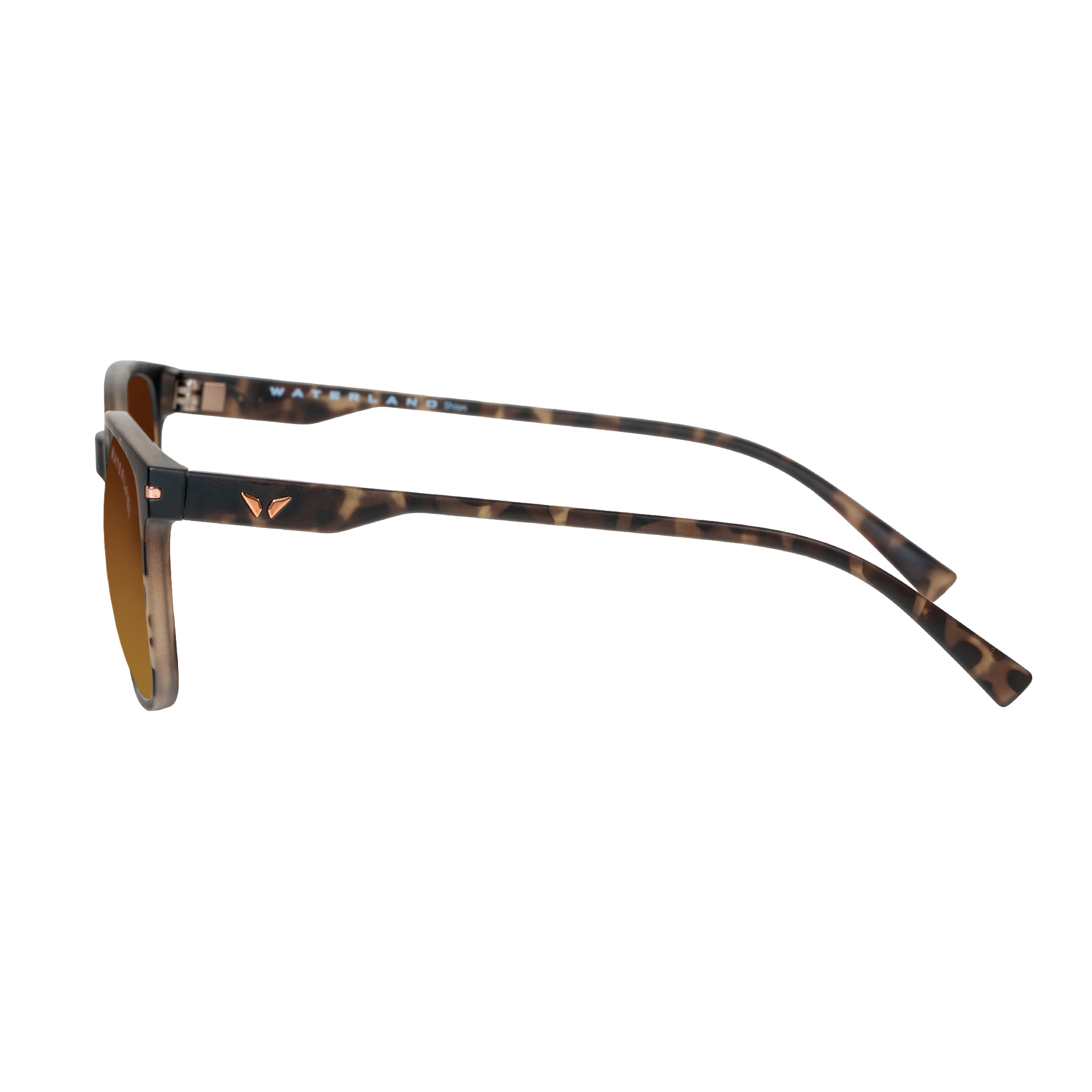 Shion - Brown Tortoise