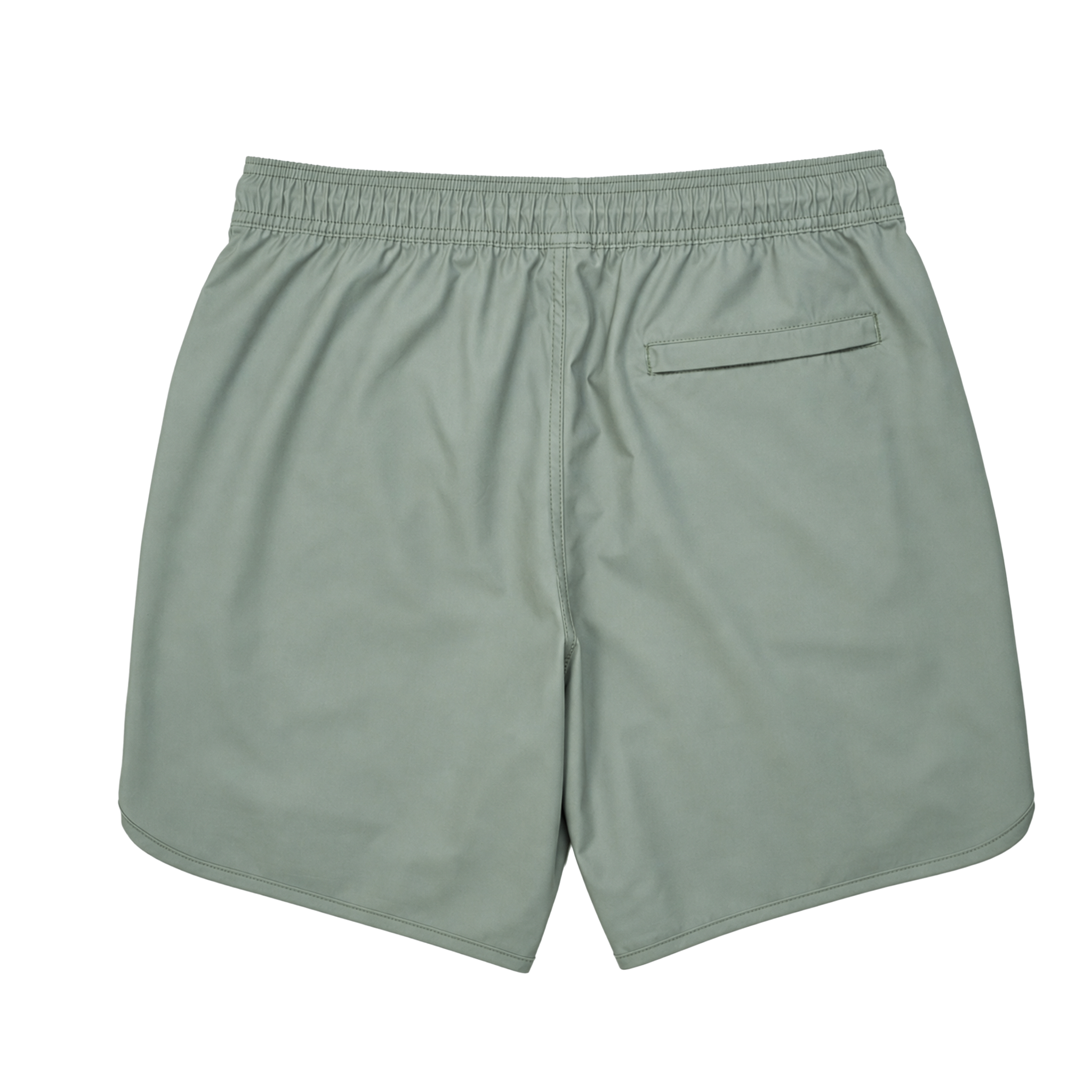 WaterLand Hybrid Shorts
